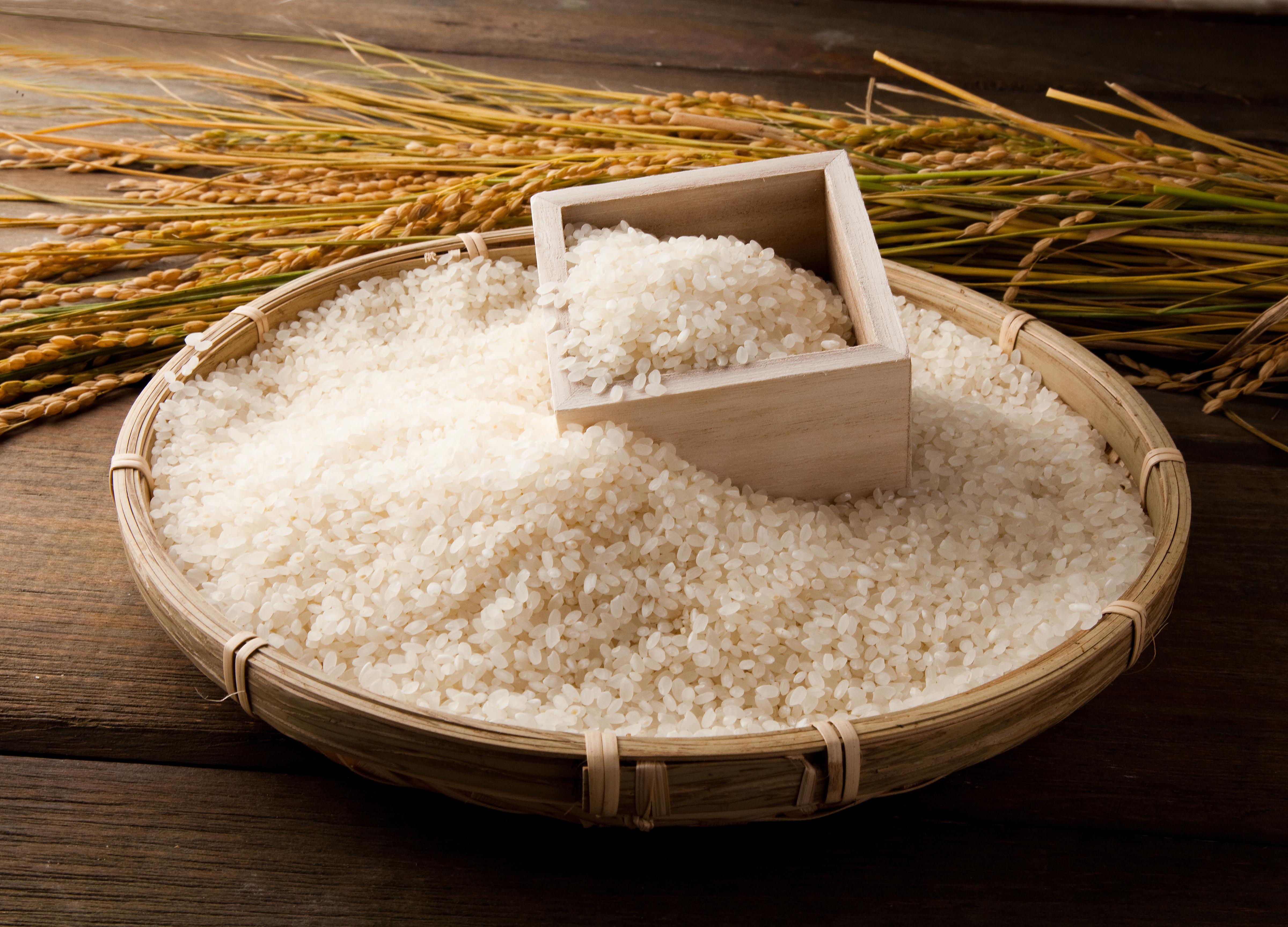 艶やかで透明感のある白米 プレミアム品質の白米をオンラインで購入 - ジャパンセンター