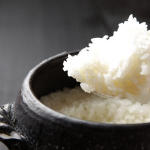  Yamato Nori Rice Sticking Paste- 220g Tube : Grocery