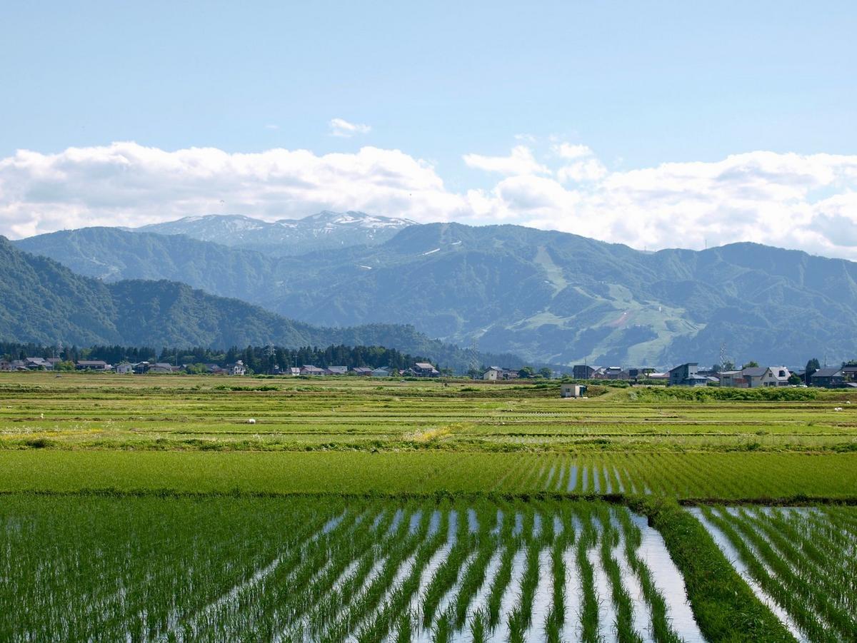 Niigata prefecture