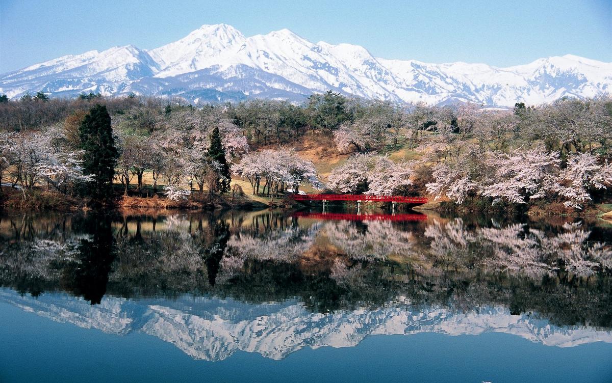 Japan landscape in panorama view during Spring time