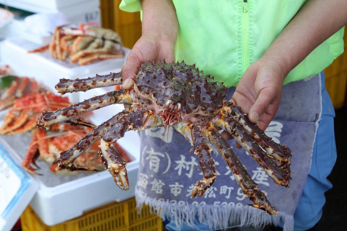 Hokkaido crab