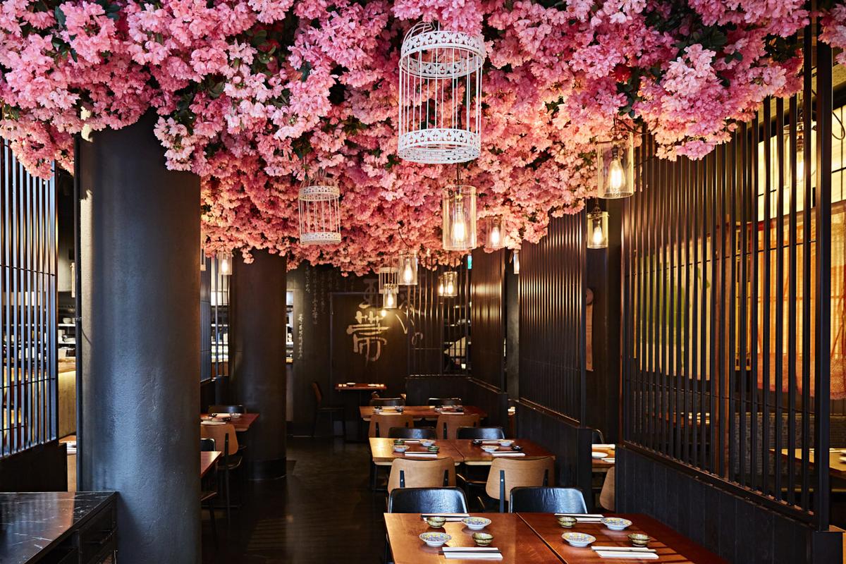 The sakura are in full bloom at Sakagura until 28 April 2019