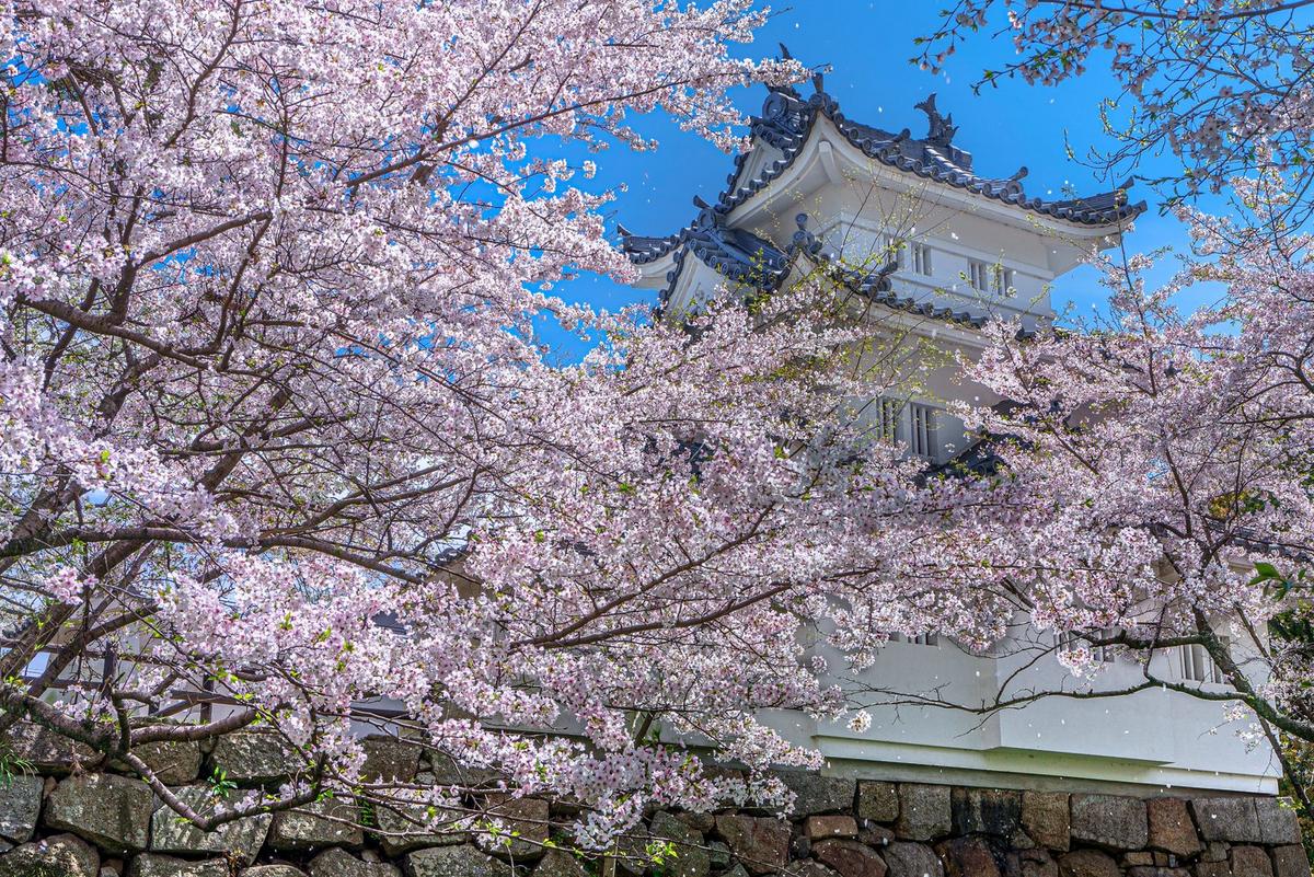 Visit the Birthplace of the Ninja