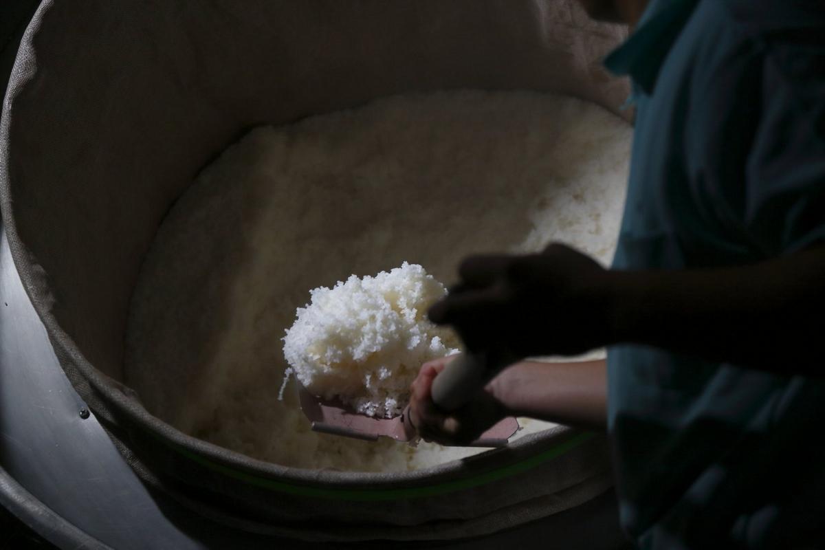 The seed mash (shubo), more rice, koji and water are added to a larger fermentation tank in three stages spread out over four days.