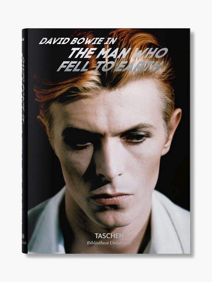 David Bowie - The Man Who Fell To Earth image number 1