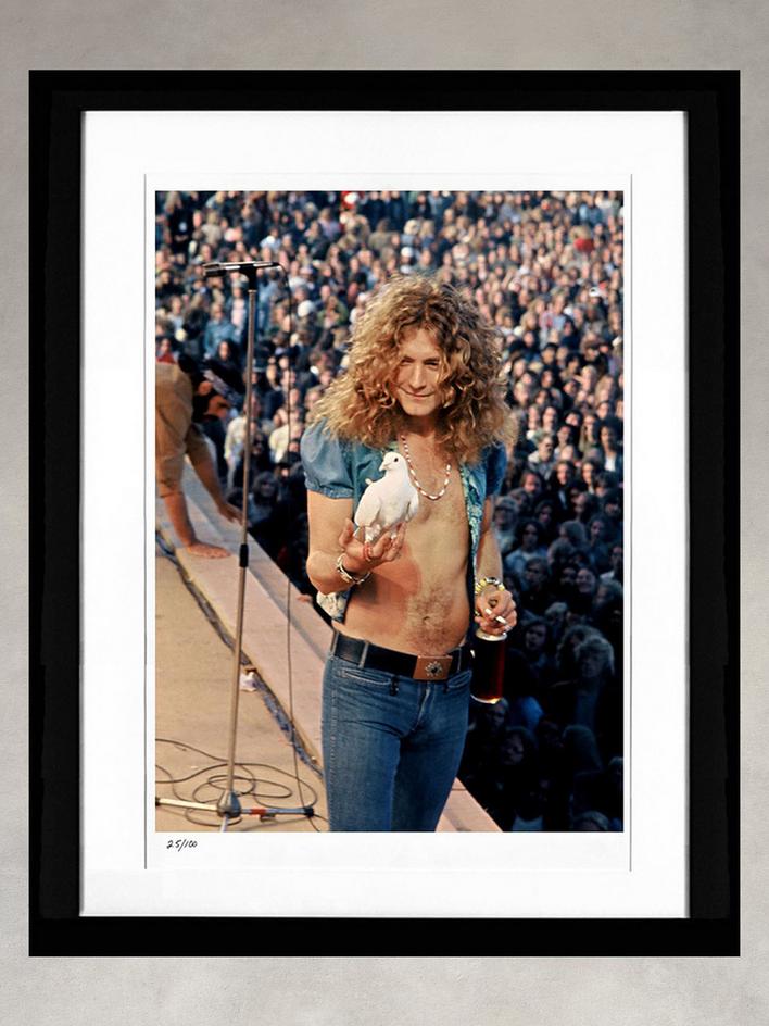 Robert Plant by James Fortune image number 1