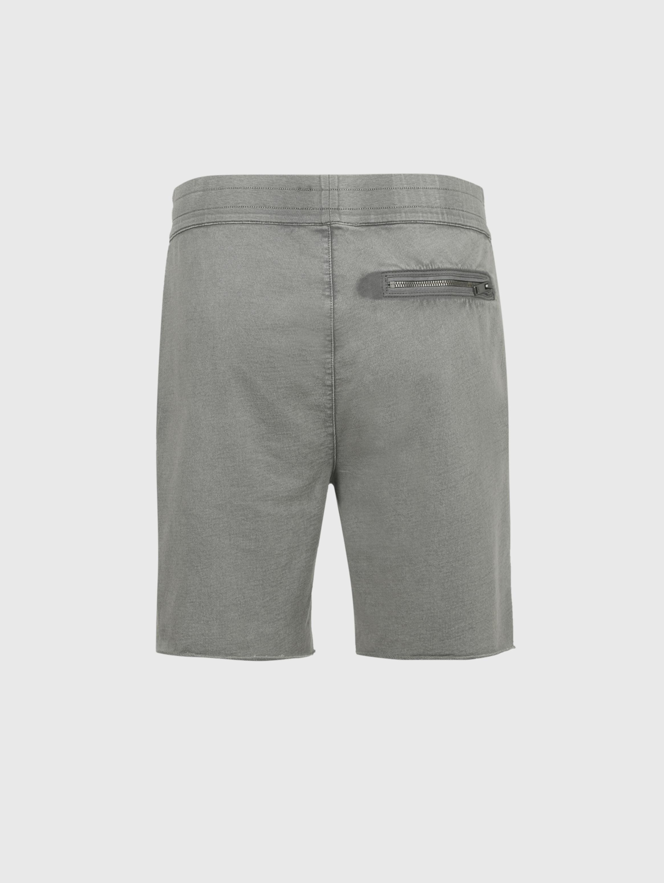 YORK GARMENT DYE FRENCH TERRY SHORTS image number 4