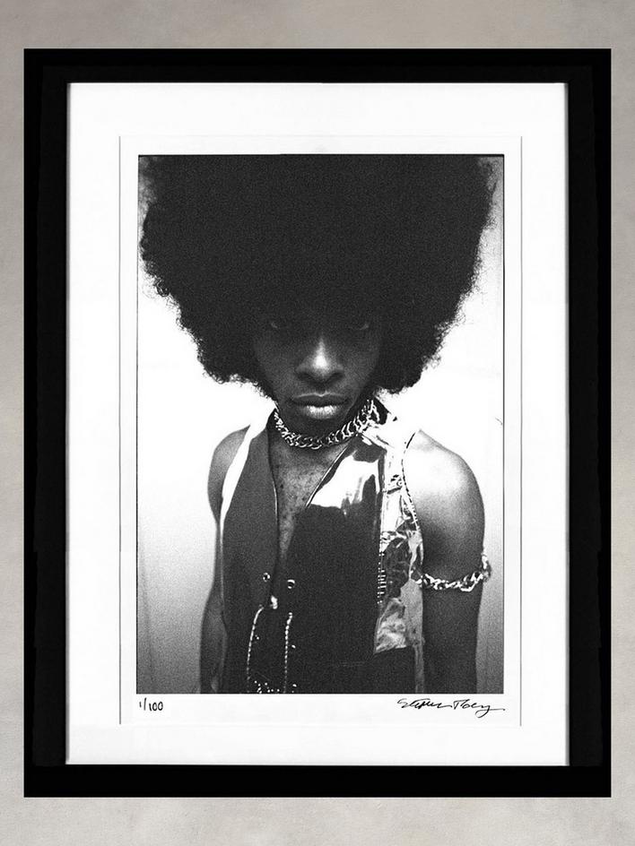 Sly Stone by Stephen Paley image number 1