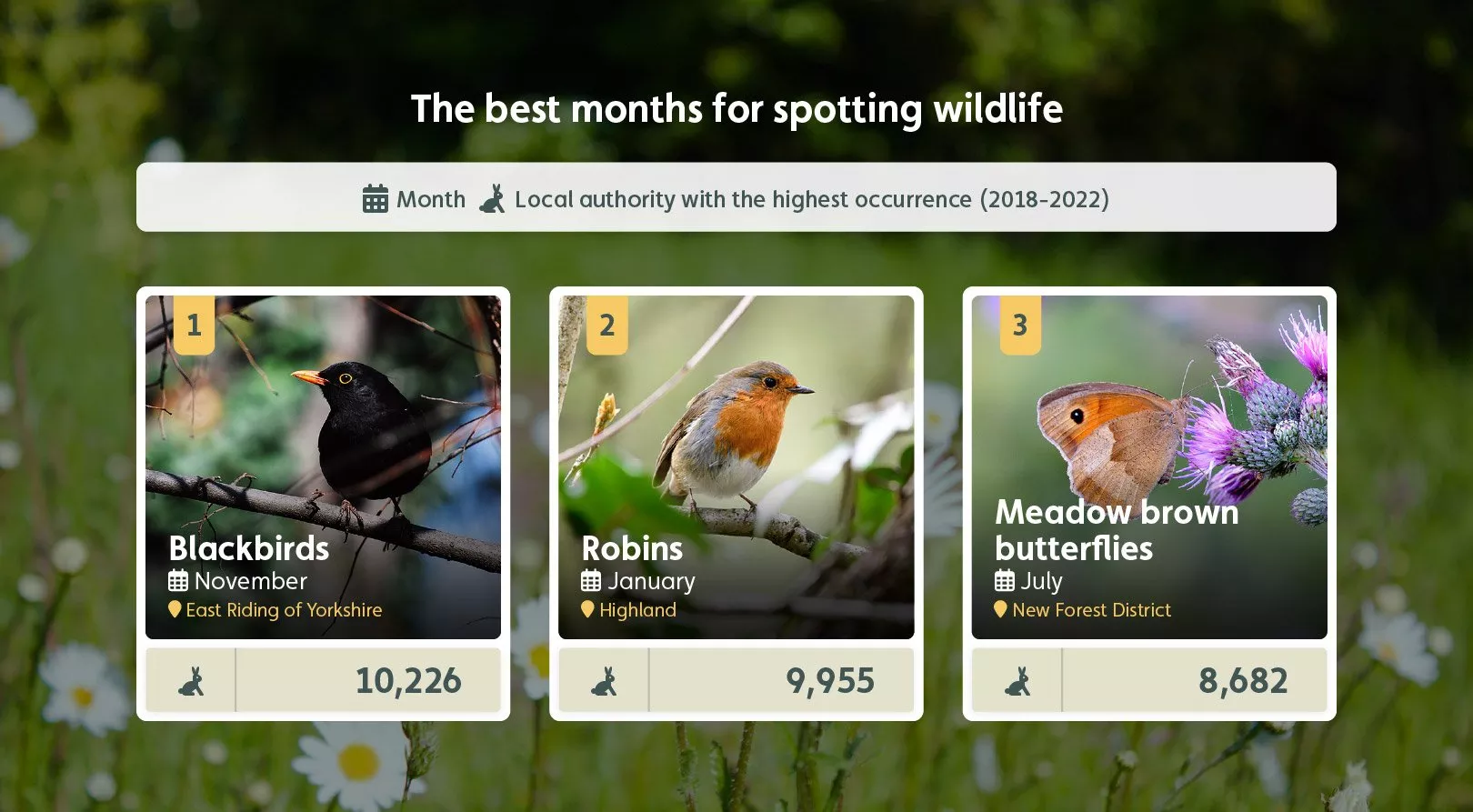 The best months for spotting wildlife