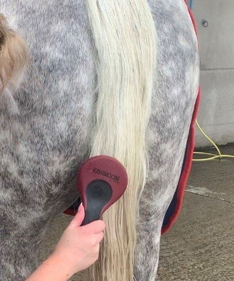 Ezi-Groom Mane and Tail Brush