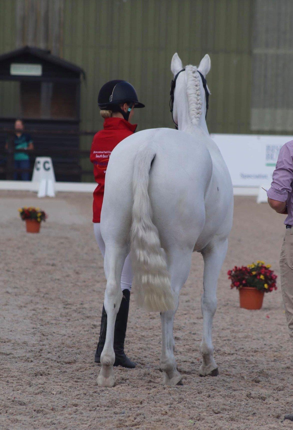 Naylors, Melanoma Fund & India Turner, Sunguarding Horse & Riders This Summer