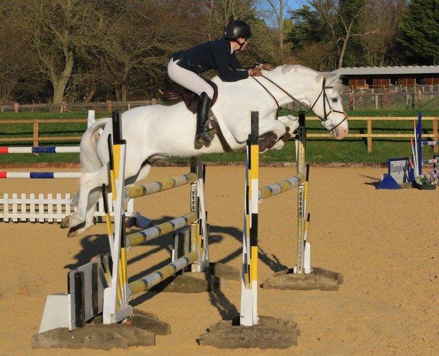 Naylors, Melanoma Fund & India Turner, Sunguarding Horse & Riders This Summer