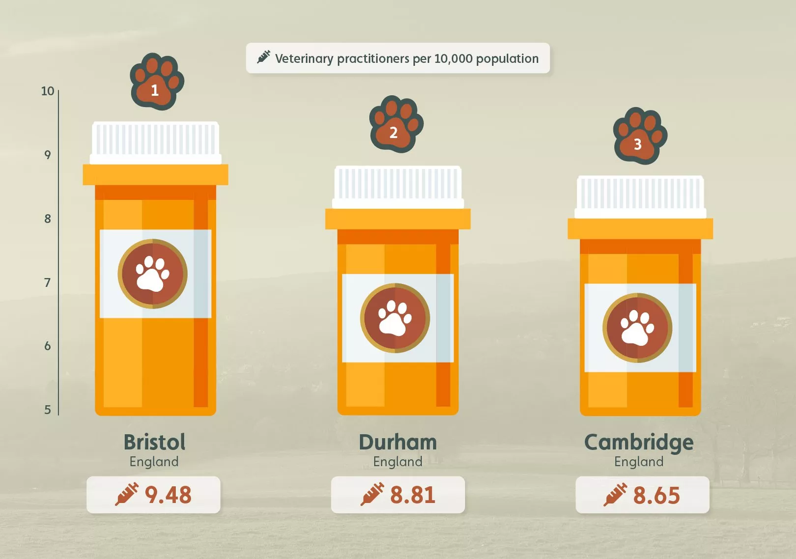 Infographic showing the holiday destinations with the most dog vet practitioners in the UK.