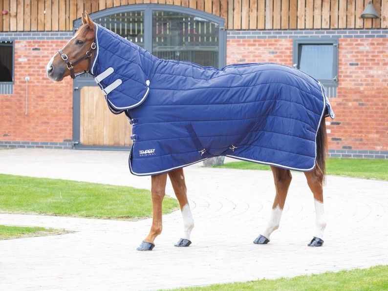 Shires Wessex 200g Budget Stable Rug Standard Neck No Neck Blue Check Size 5’9” 