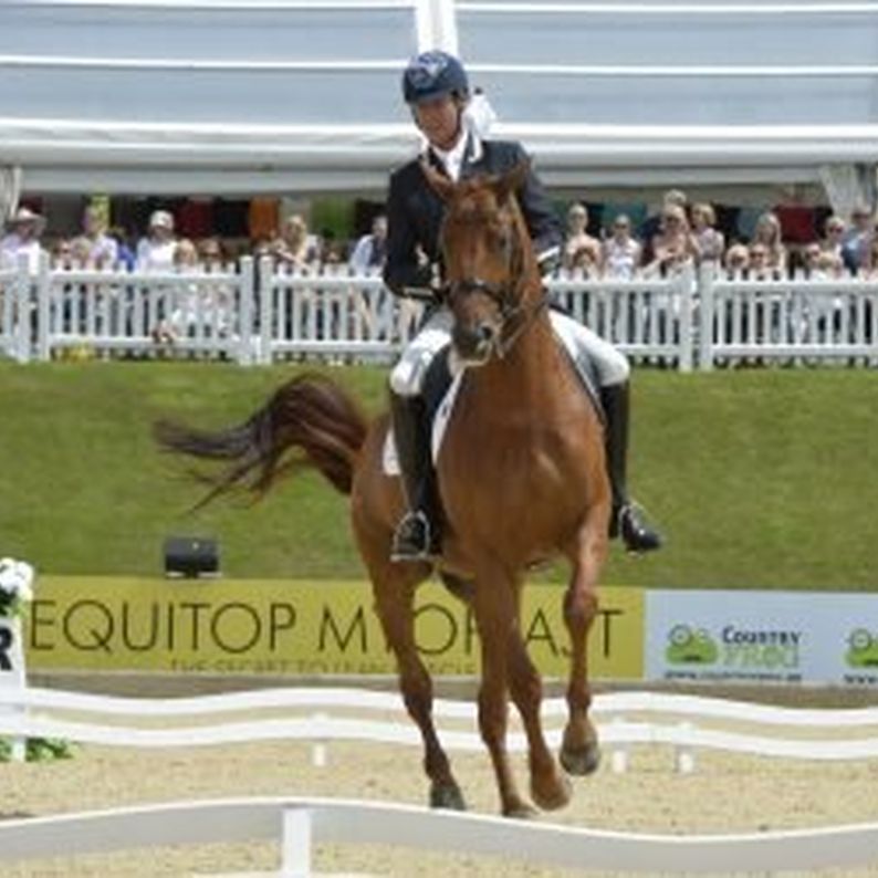 Bolesworth International Horse Show