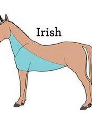Irish Clip - Half of the neck, the shoulders and the belly is removed in a diagonal line.