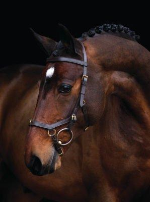 Horseware® Rambo® Micklem MultiBridle