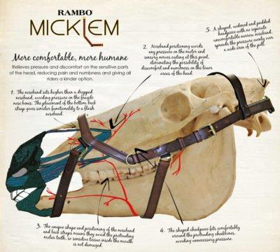 Micklem MultiBridle