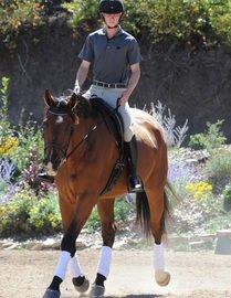 Traditional Horse Training Methods