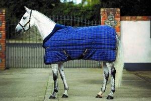 Questions To Ask When Buying A Horse