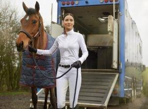 Questions To Ask When Buying A Horse