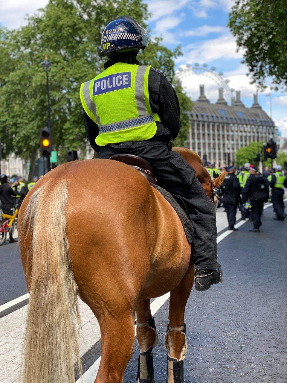 Mounted Police