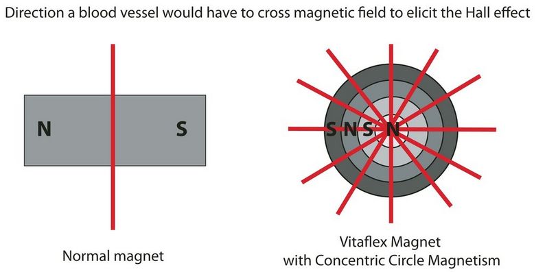 Vitaflex Magnets