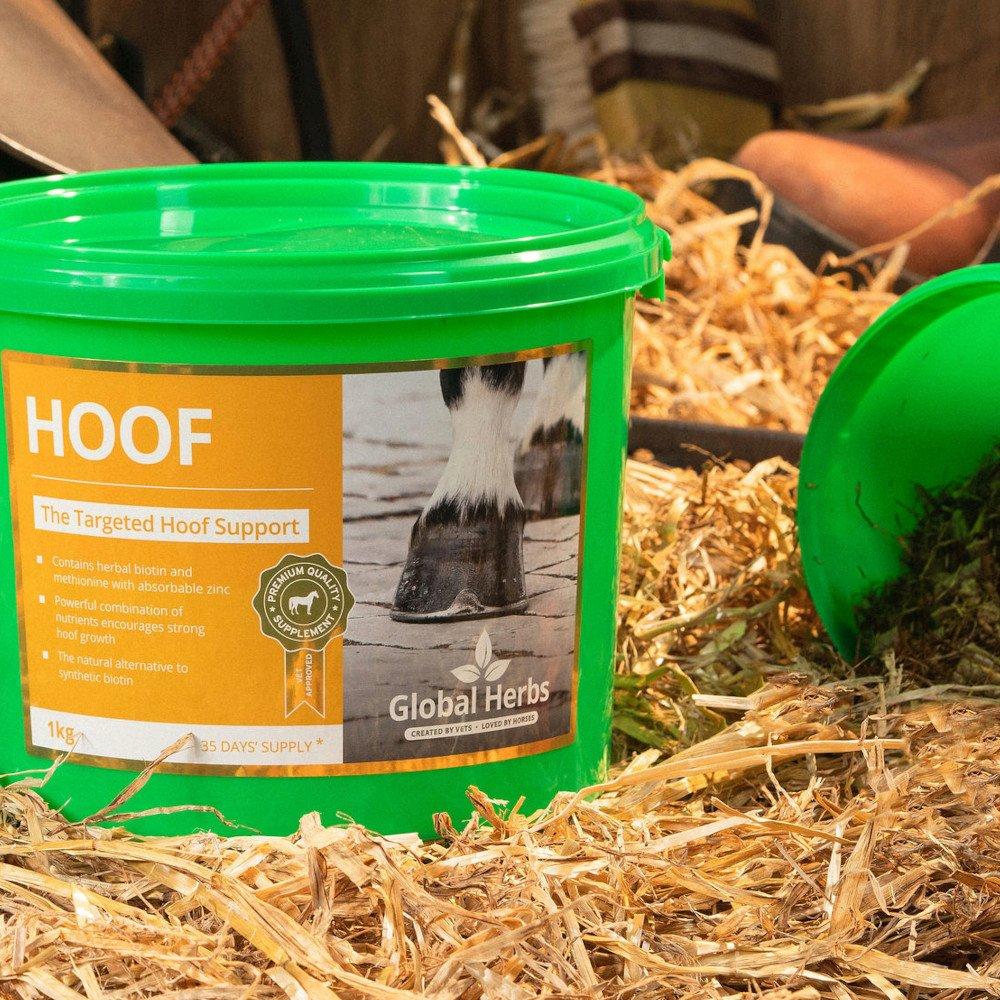 Global Herbs HOOF
