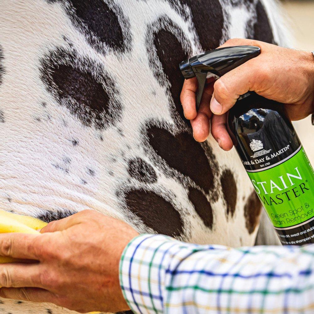 Carr & Day & Martin Stain Master Green Spot Remover