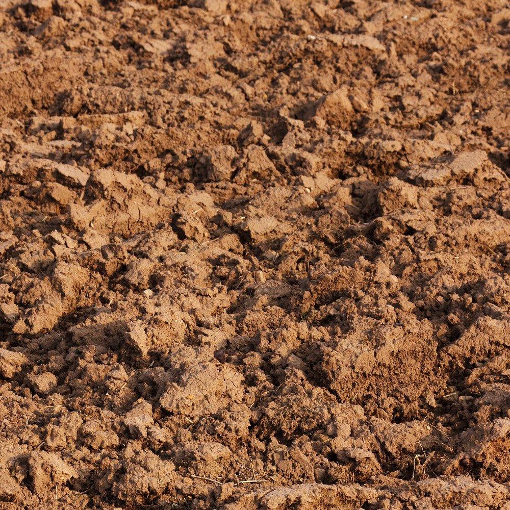 Muddy Fields