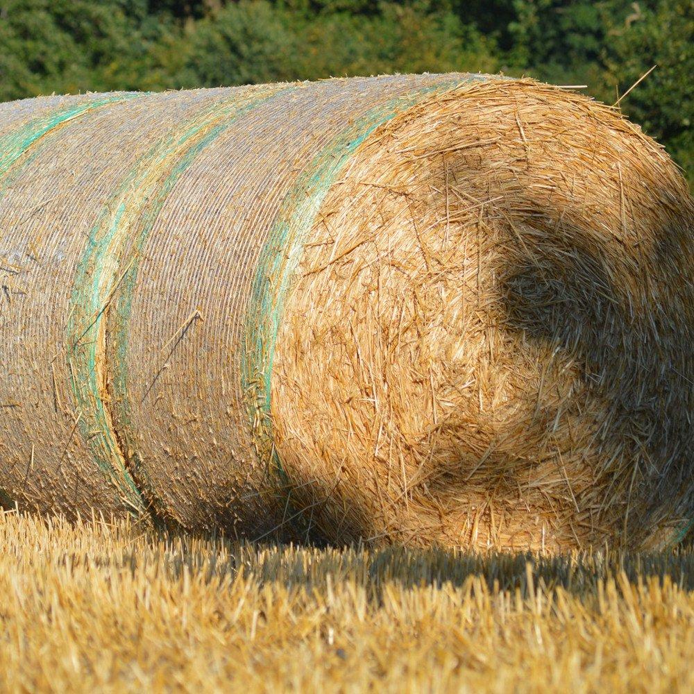 Stock Up Your Store Room