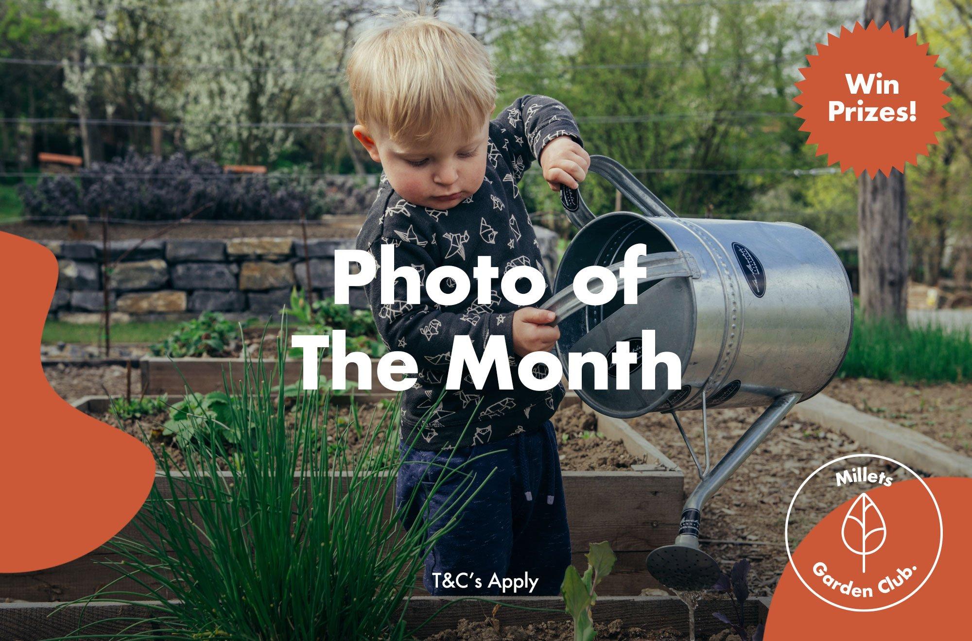 A picture of the Millets Garden Club Photo of the Month