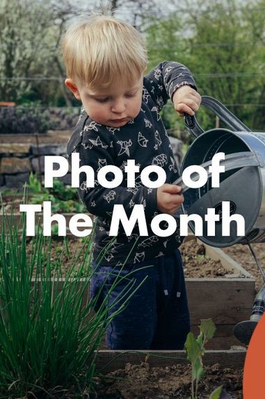 Millets Garden Club | Photo of the Month Competition