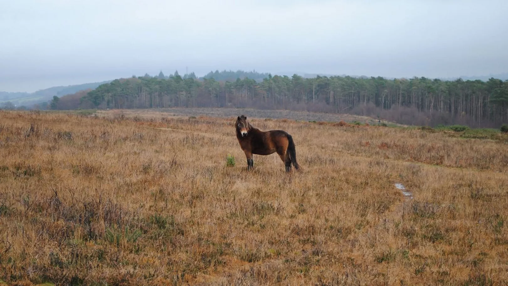 Exmoor National Park