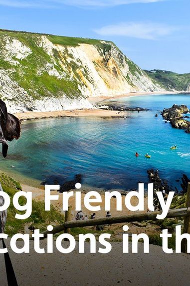 10 Dog Friendly Staycations in the UK