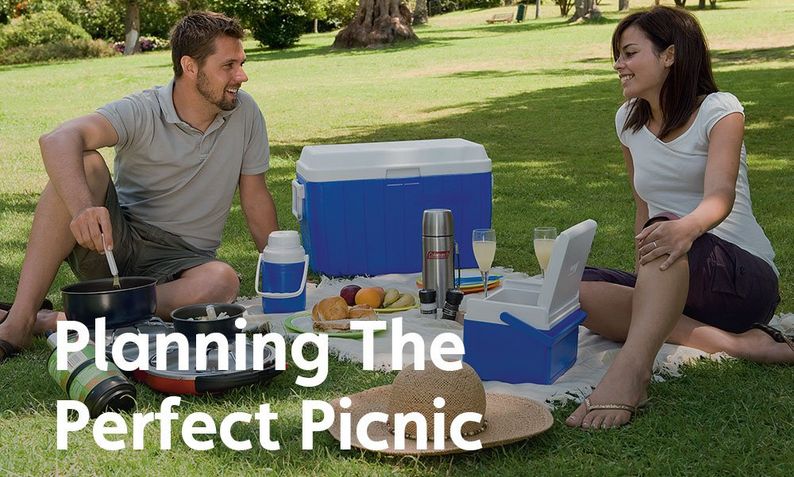 Planning The Perfect Picnic