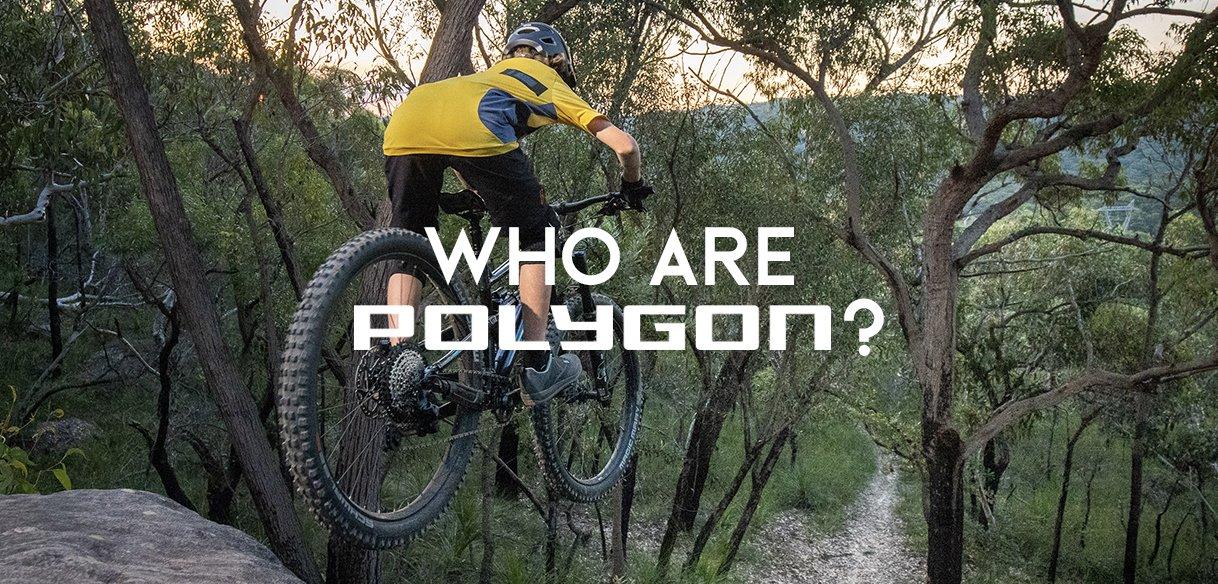 Polygon Bikes GO Outdoors