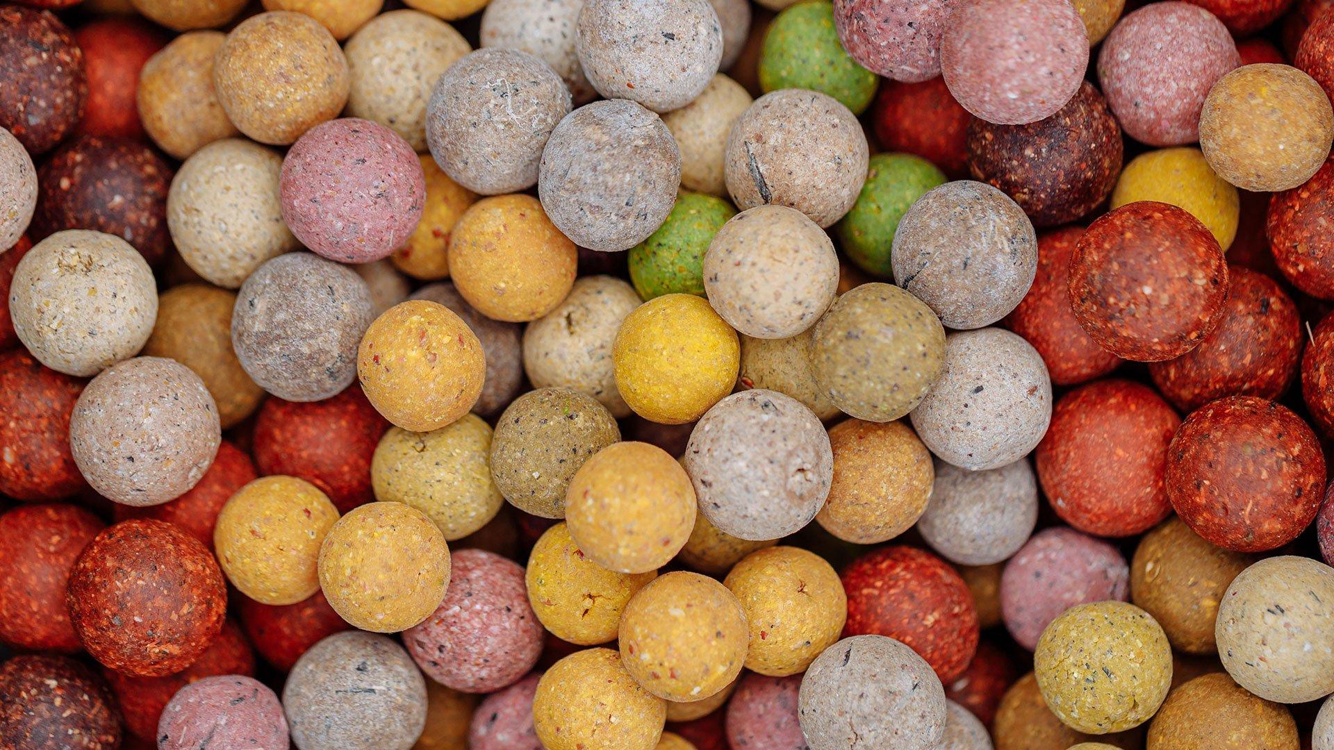 Angling Advice The Best Bait for Carp Fishing Fishing Republic
