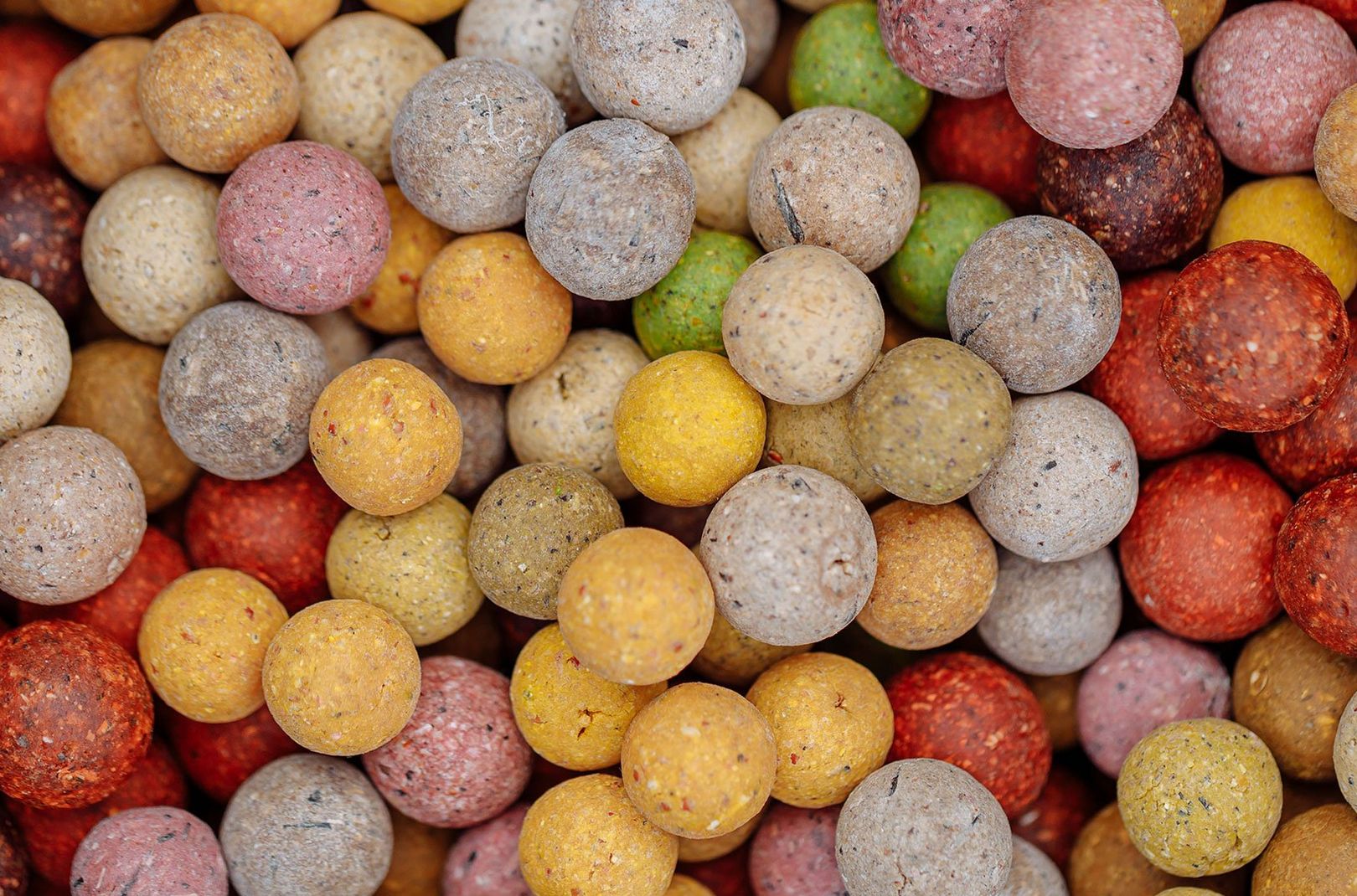 Angling Advice: The Best Bait for Carp Fishing