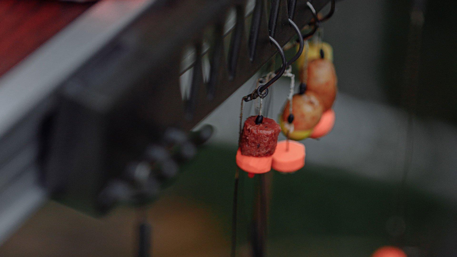 Angling Advice The Best Bait for Carp Fishing Fishing Republic