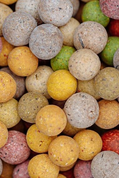 Angling Advice: The Best Bait for Carp Fishing