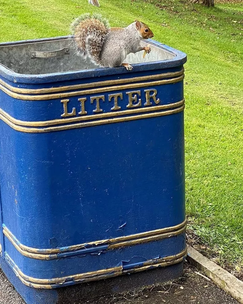 Litter Bin