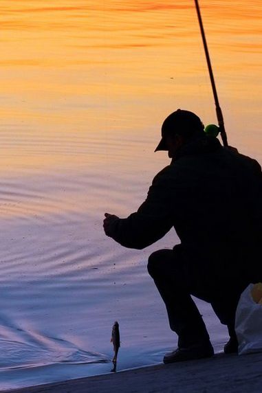 Angling Advice: Fishing Licenses