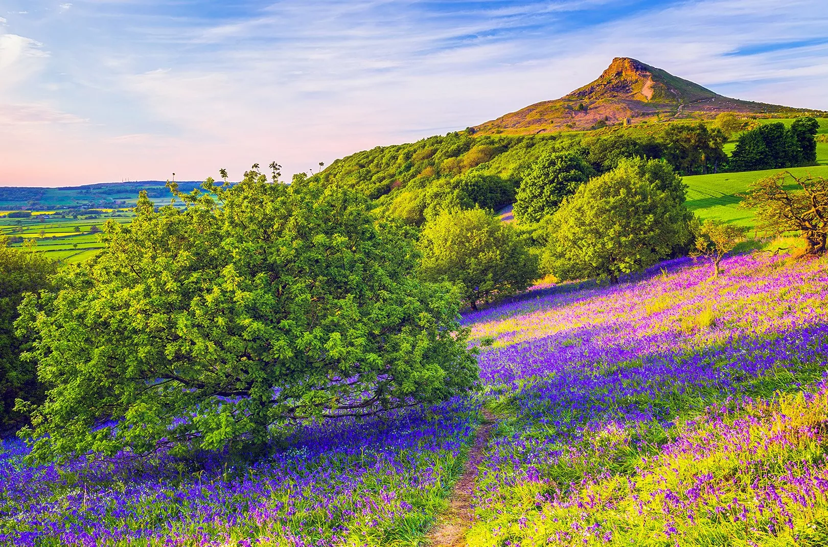 North Yorkshire
