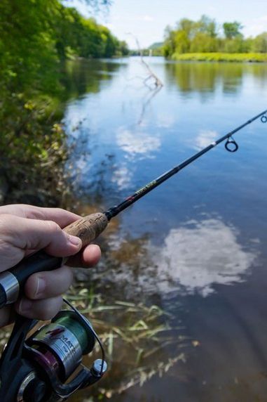 Angling Advice: A Guide to Spring Fishing