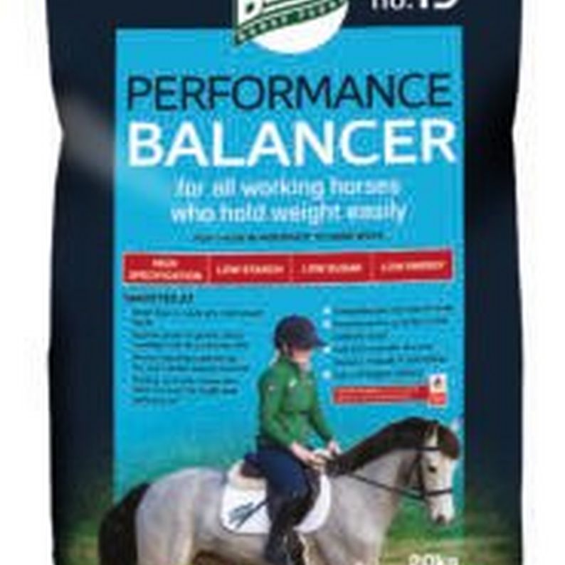 Baileys No. 19 Performance Balancer