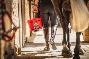 Barefoot Basics – Taking Shoes Off Your Horse - Hardening