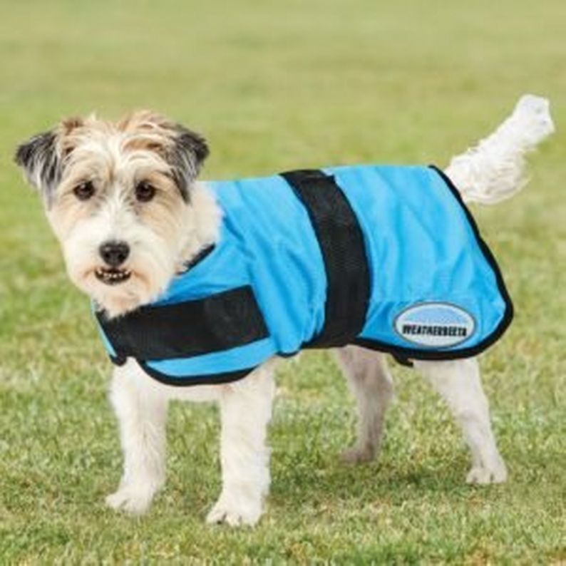 Beat The Heat - WeatherBeeta Therapy-Tec Cooling Dog Coat