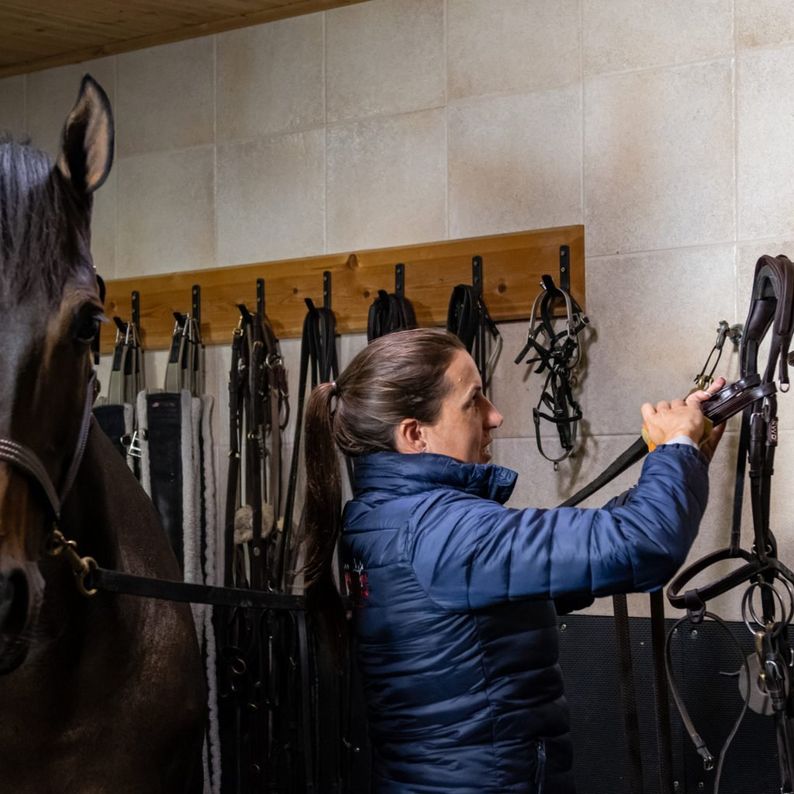Caring For Tack – Your Questions Answered