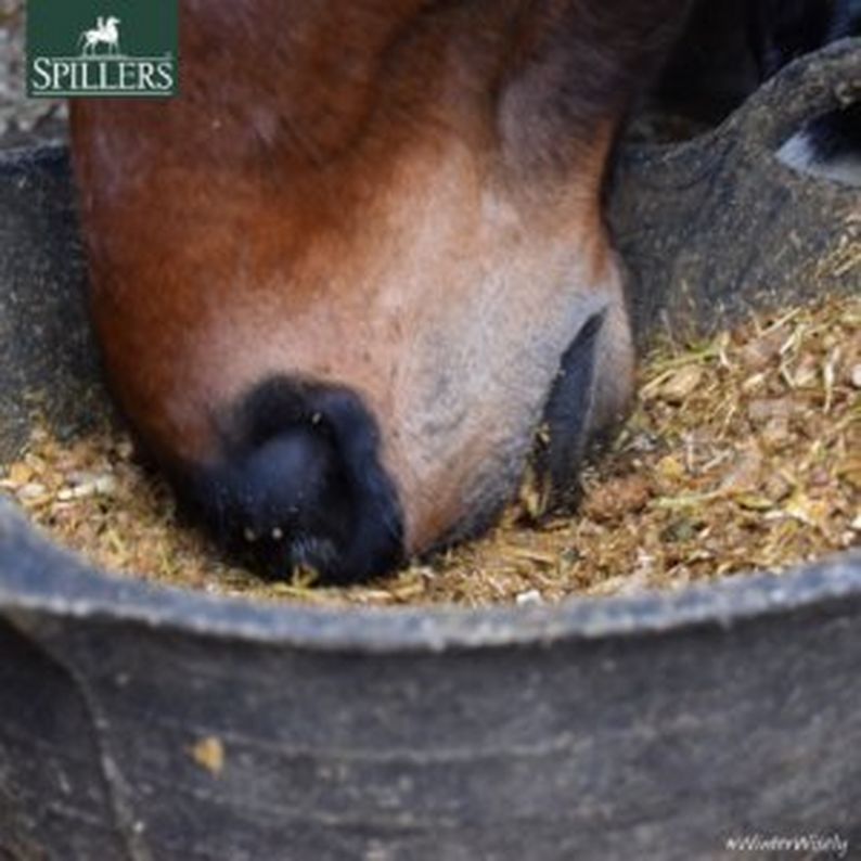 Feed Awareness Week – Tips & Myth Busting with SPILLERS